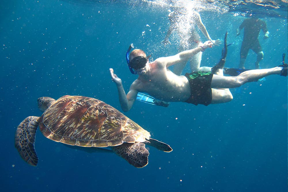 แพ็คเกจ หมู่เกาะสิมิลัน 3 วัน 2 คืน