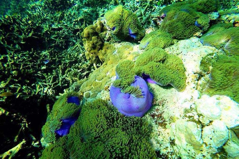 แพ็คเกจ หมู่เกาะสุรินทร์ 2 วัน 1 คืน