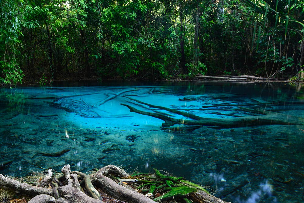 ทัวร์น้ำตกร้อน สระมรกต วัดถ้ำเสือ