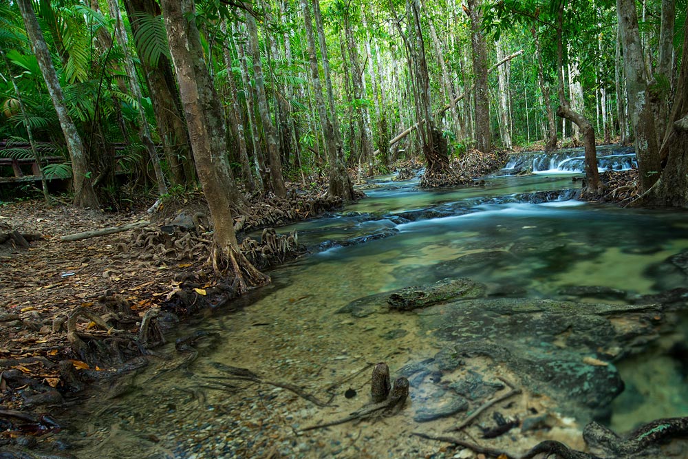 ทัวร์น้ำตกร้อน สระมรกต วัดถ้ำเสือ