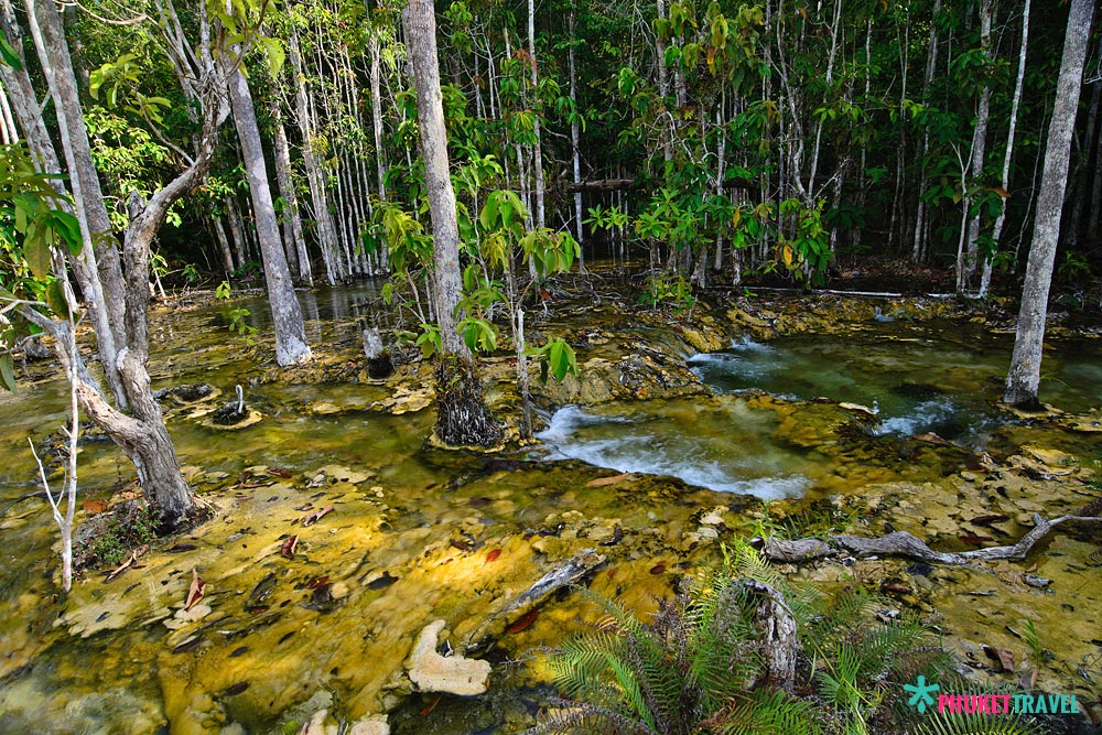 ทัวร์น้ำตกร้อน สระมรกต วัดถ้ำเสือ