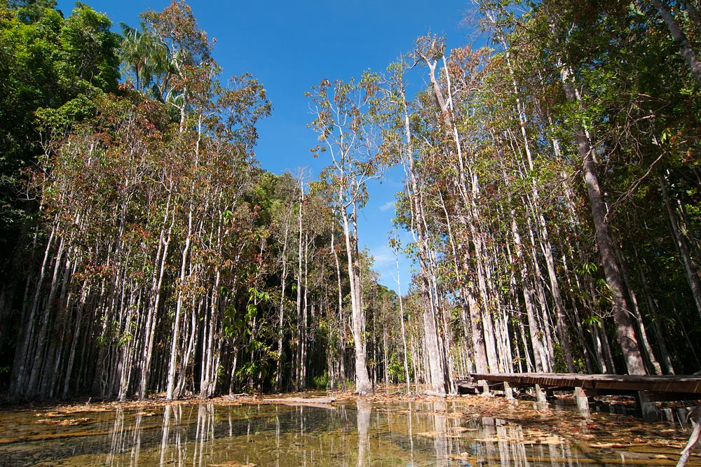ทัวร์น้ำตกร้อน สระมรกต วัดถ้ำเสือ