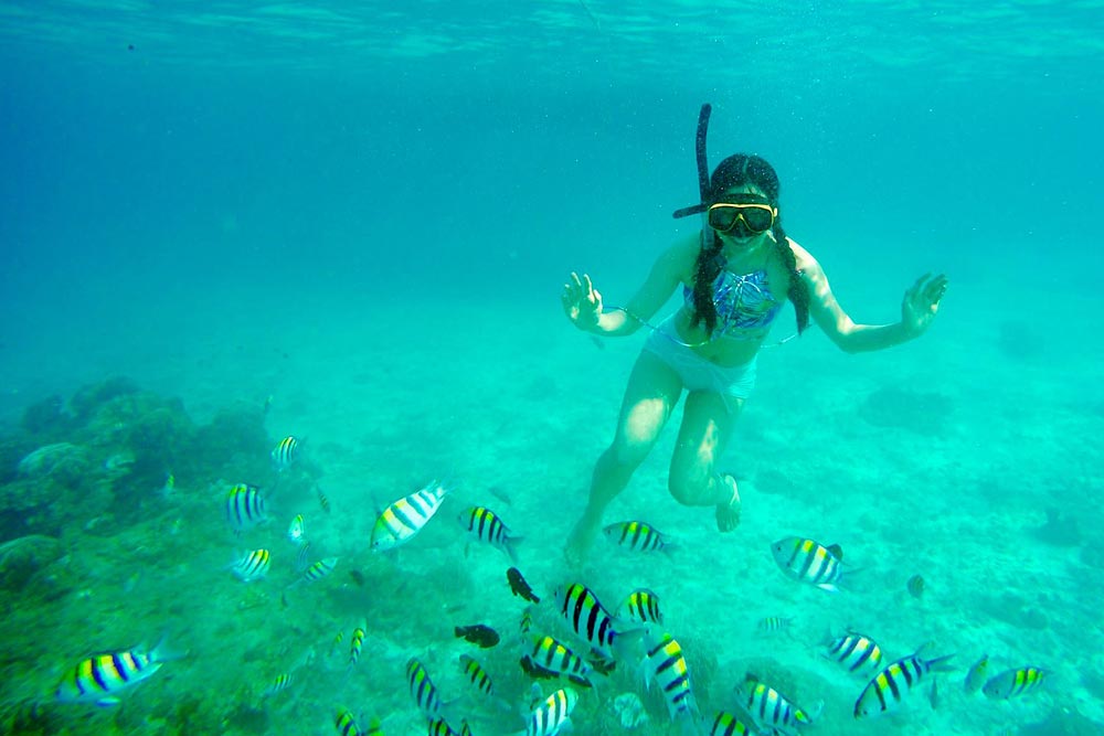 ล่องเรือใบ เกาะไม้ท่อน + ศรีพันวา