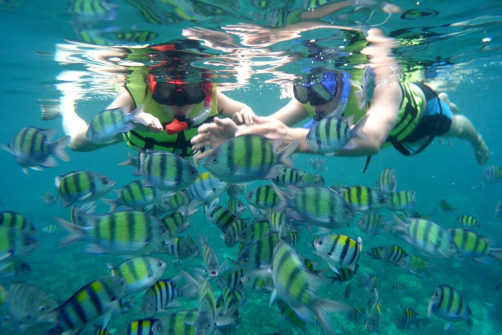 ล่องเรือใบ เกาะไม้ท่อน + ศรีพันวา