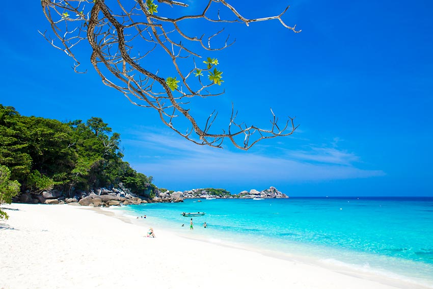 ทัวร์หมู่เกาะสิมิลันโดยเรือเร็วสปีดโบ๊ท กับ Love Andaman หรือ Seastar Andaman