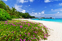 ทัวร์หมู่เกาะสิมิลันโดยเรือเร็วสปีดโบ๊ท กับ Love Andaman หรือ Seastar Andaman