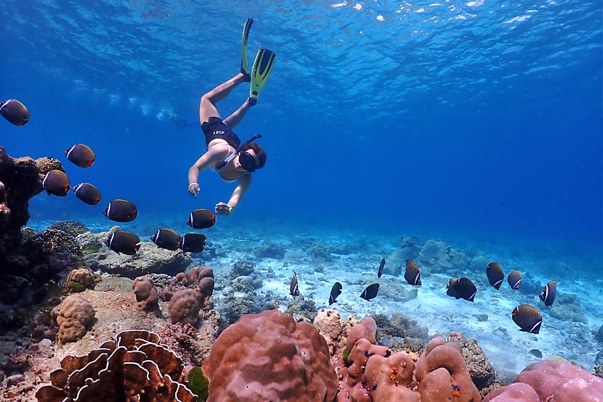 ทัวร์หมู่เกาะสิมิลันโดยเรือเร็วสปีดโบ๊ท กับ Love Andaman หรือ Seastar Andaman