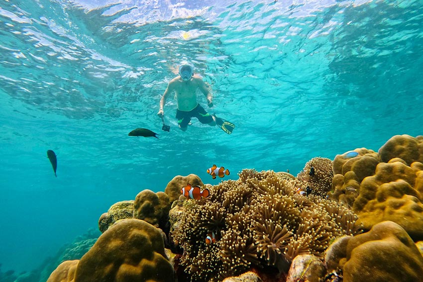 ทัวร์หมู่เกาะสุรินทร์ โดยเรือเร็วสปีดโบ๊ทกับ Love Andaman หรือ Seastar Andaman