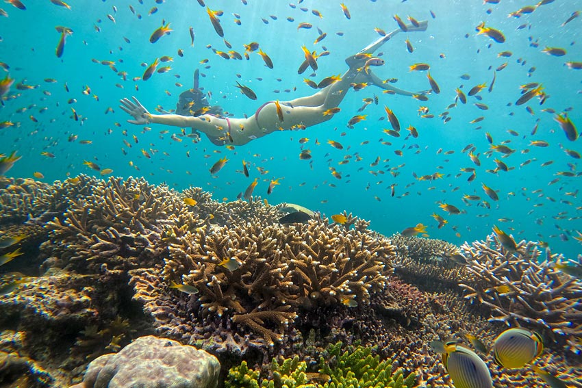 ทัวร์หมู่เกาะสุรินทร์ โดยเรือเร็วสปีดโบ๊ทกับ Love Andaman หรือ Seastar Andaman