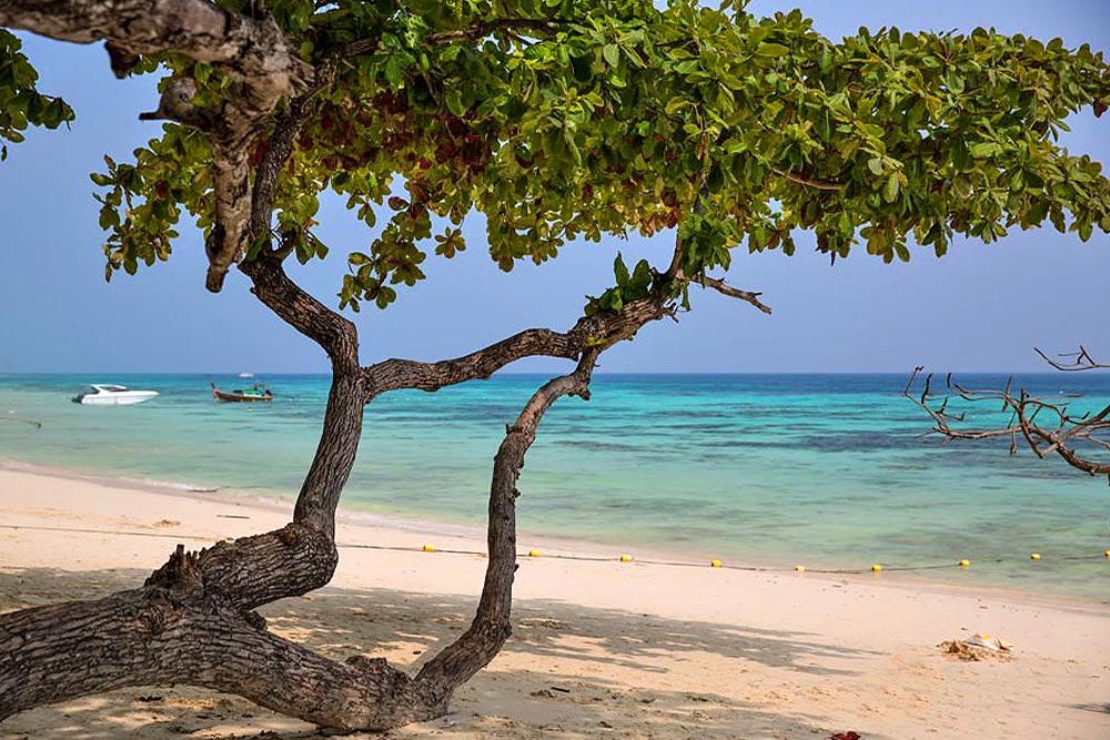 ทัวร์เกาะรอก+เกาะห้าโดยเรือเร็วสปีดคาตามาราน กับ Seastar Andaman หรือ Love Andaman