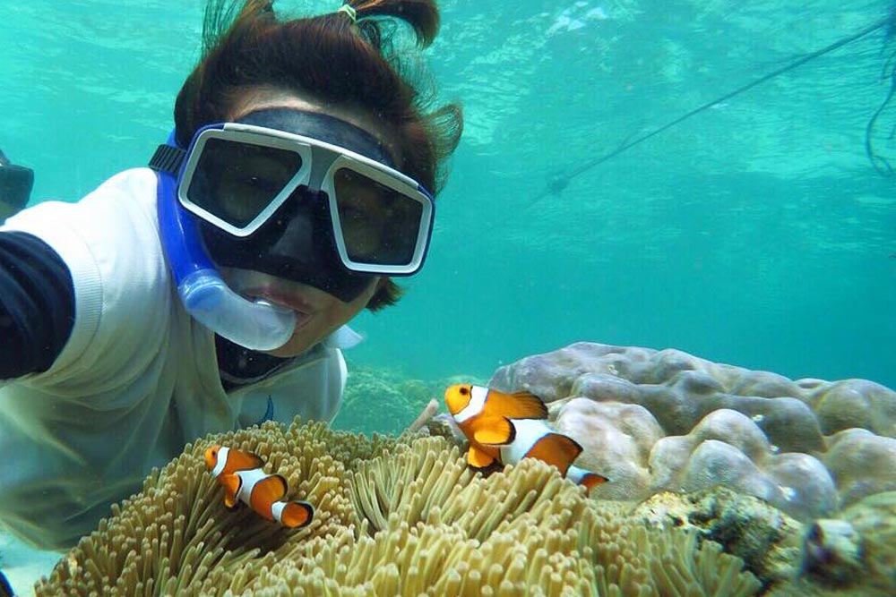 ล่องเรือใบ เกาะไม้ท่อน เต็มวัน เช้า/บ่าย