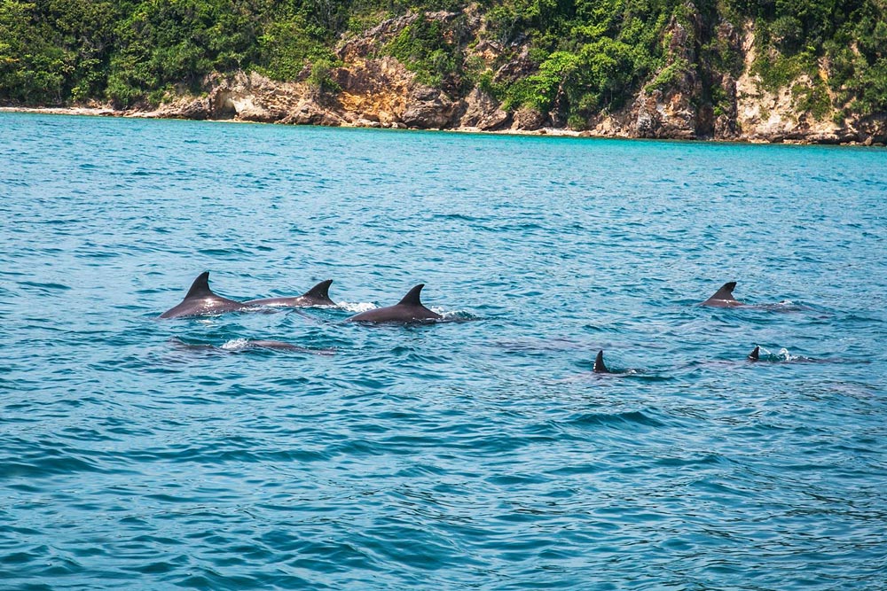 ล่องเรือใบ เกาะไม้ท่อน เต็มวัน เช้า/บ่าย