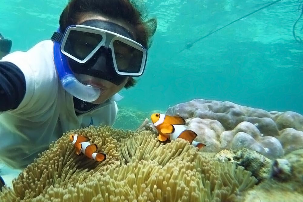 ล่องเรือ Discover Catamaran ทัวร์เกาะราชา เกาะไม้ท่อน