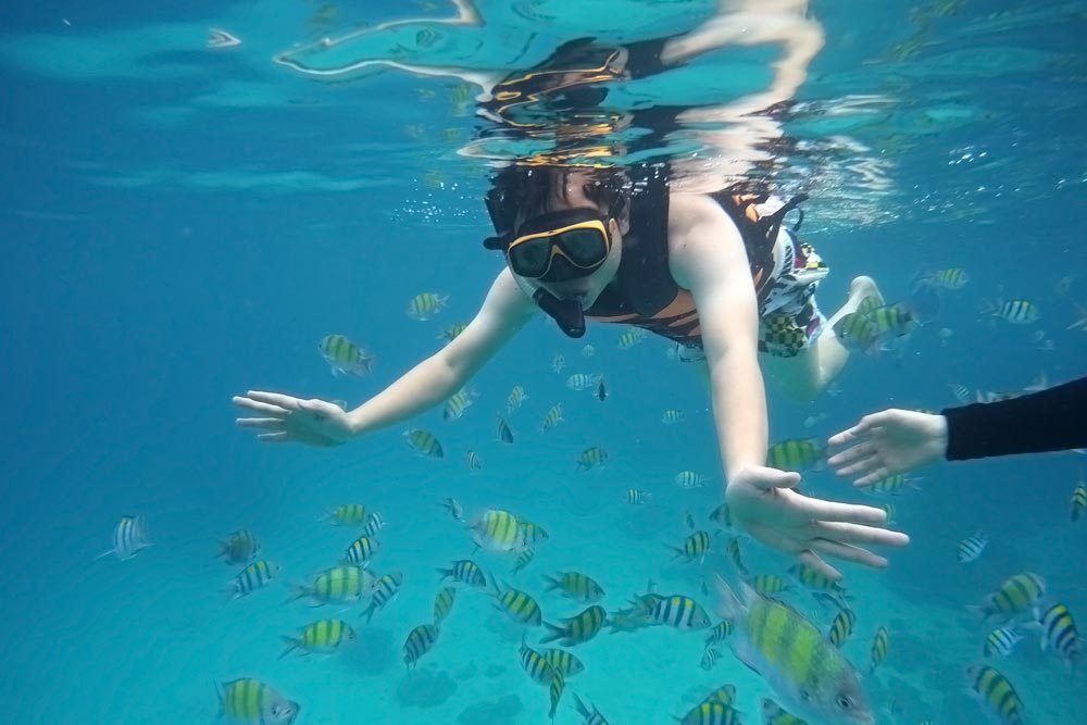 ล่องเรือ Discover Catamaran ทัวร์เกาะราชา เกาะไม้ท่อน