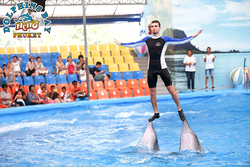 โชว์โลมา ภูเก็ต Phuket Dolphins Bay Show